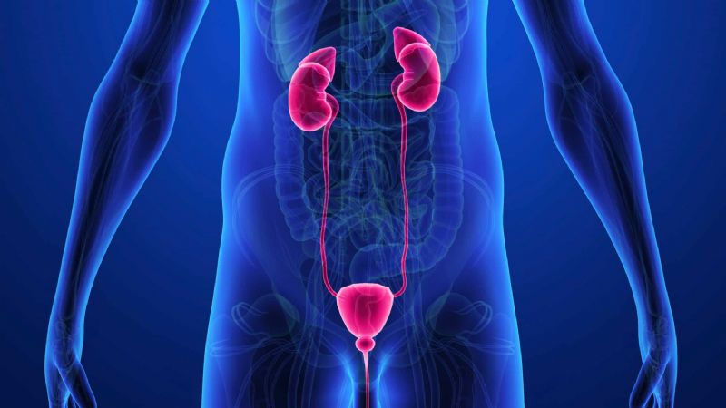 UROLOGY